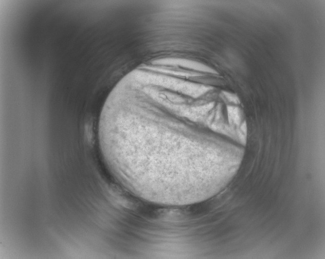 X0000068900074200606021956