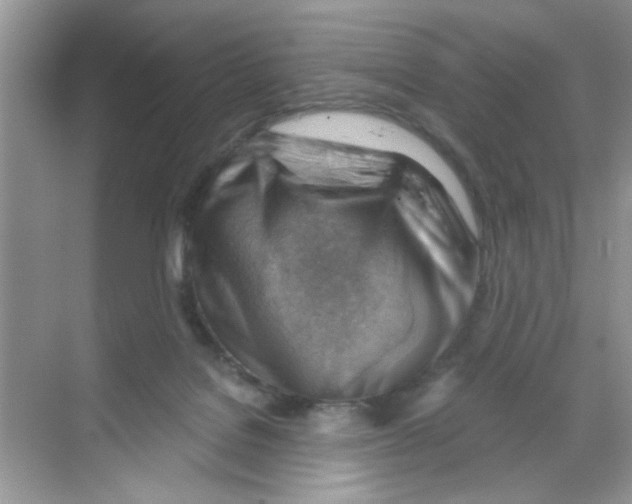 X0000068900076200606021956