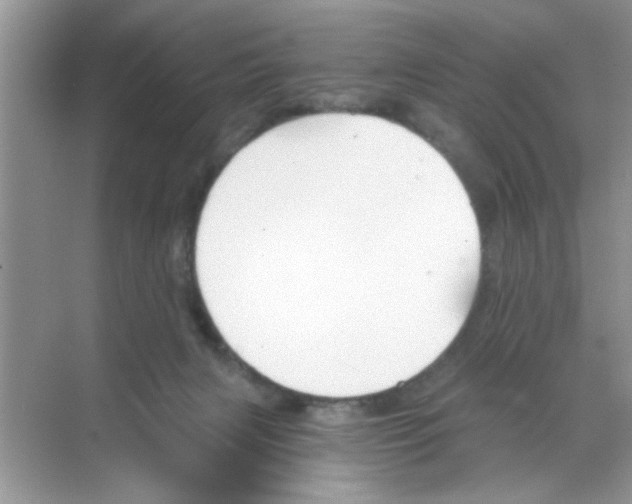X0000068900079200606021956