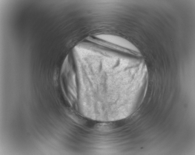 X0000068900082200606021956