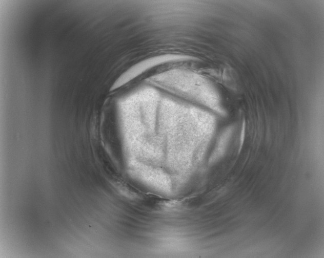 X0000068900092200606021956