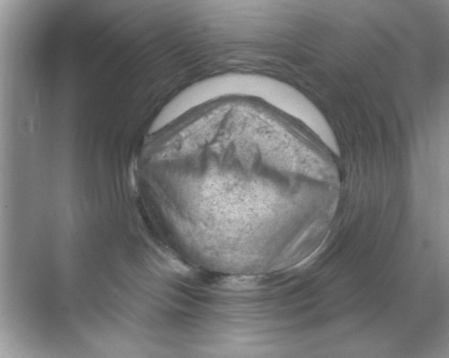 X0000068900094200606021956
