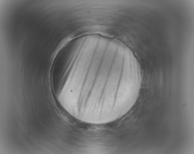 X0000068900099200606021956