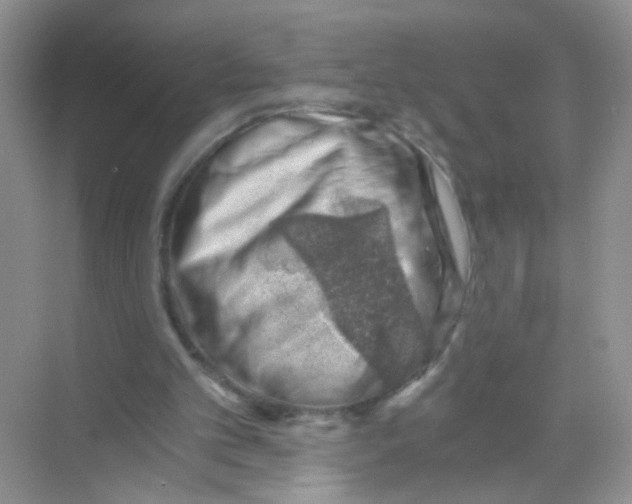 X0000068900101200606021956