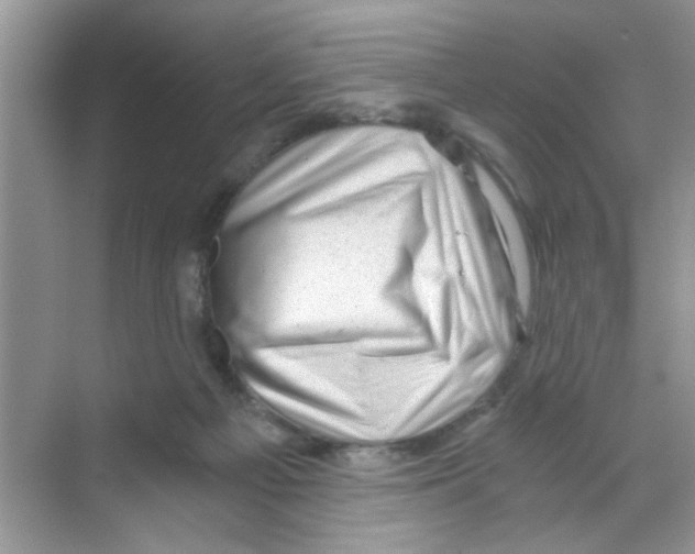 X0000068900121200606021955