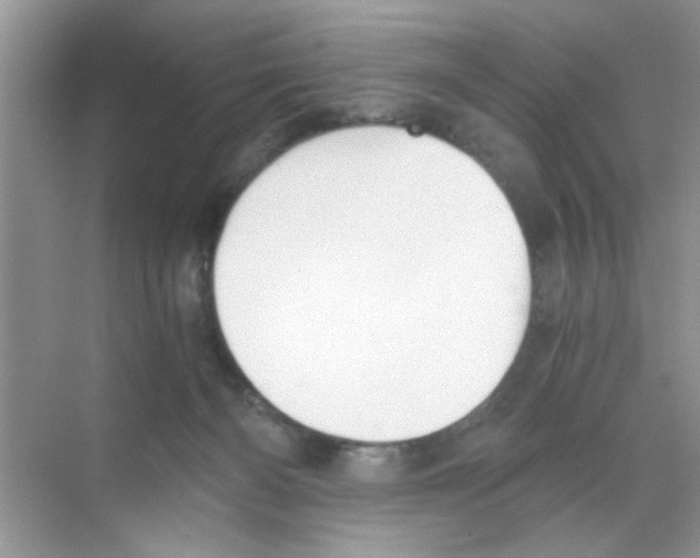 X0000068900126200606021955