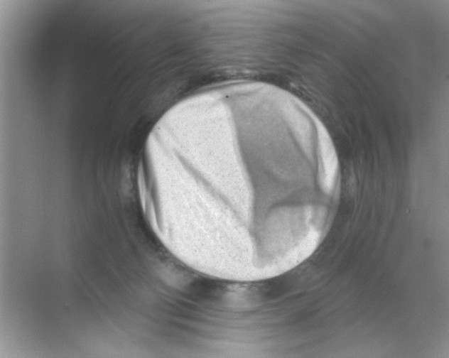 X0000068900130200606021955