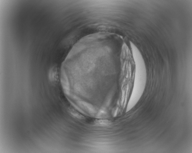 X0000068900137200606021955