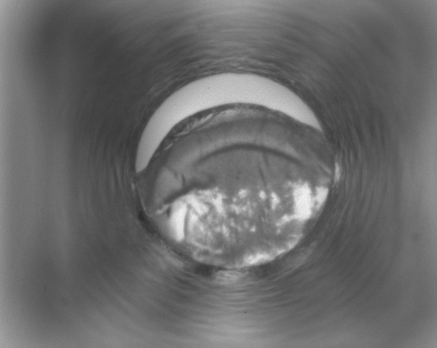 X0000068900139200606021955