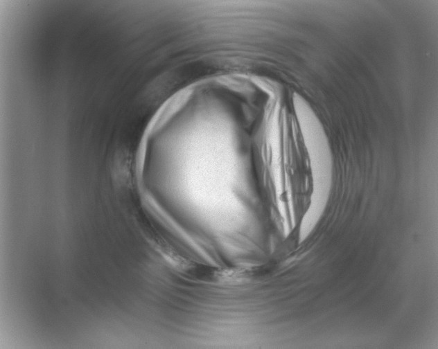 X0000068900141200606021955
