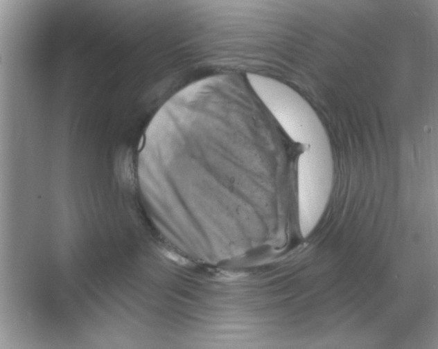 X0000068900143200606021955