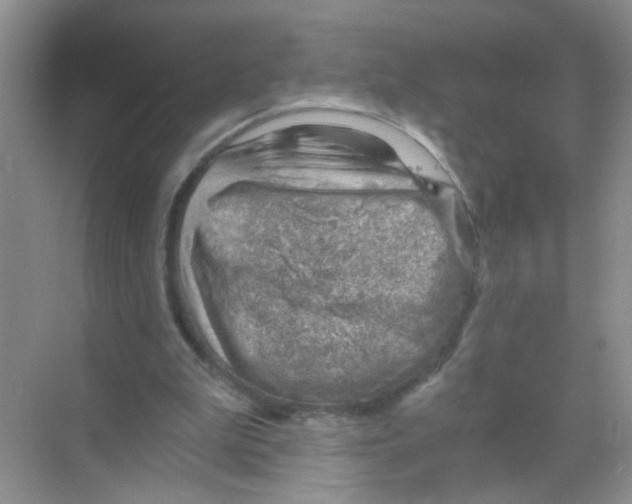 X0000068900199200606021954