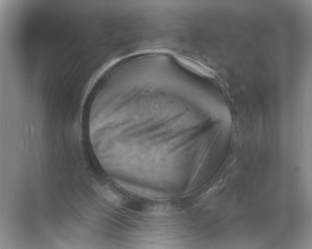 X0000068900200200606021954