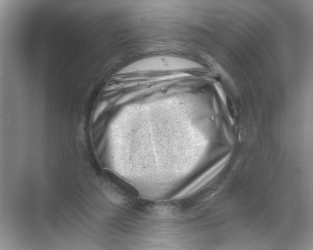 X0000068900209200606021954