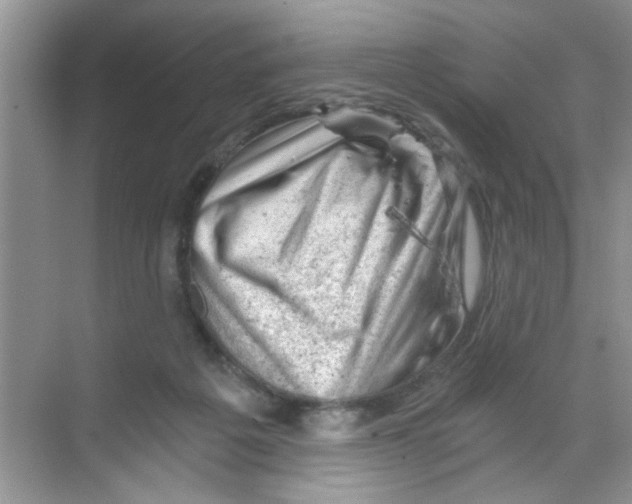 X0000068900217200606021954