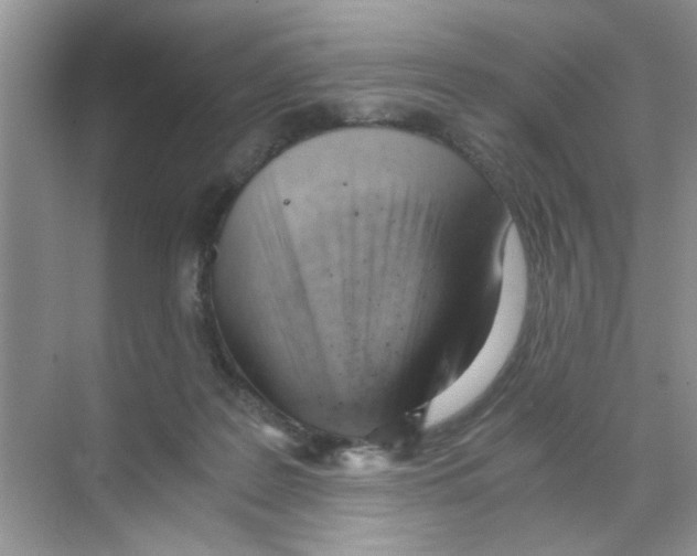 X0000068900219200606021954