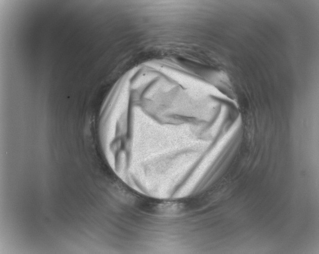 X0000068900225200606021953