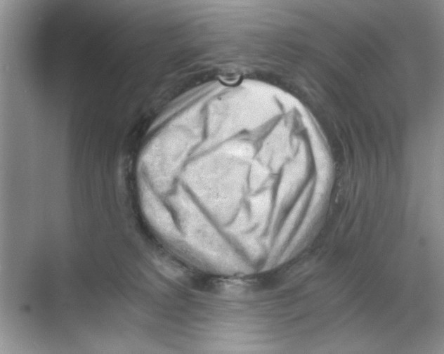 X0000068900229200606021953