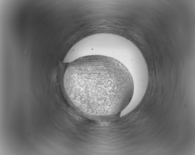 X0000068900233200606021953