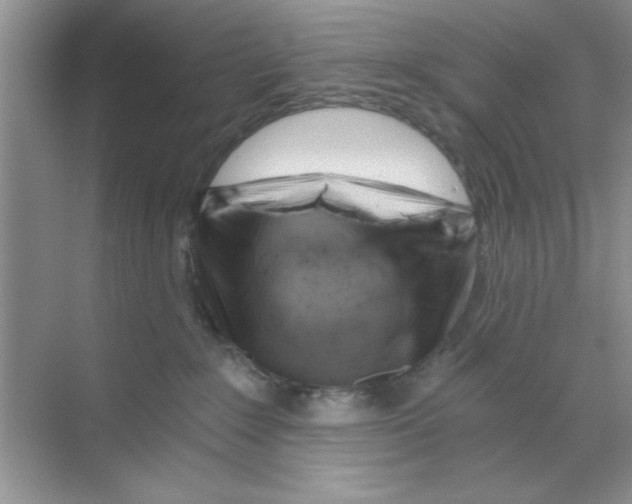 X0000068900235200606021953