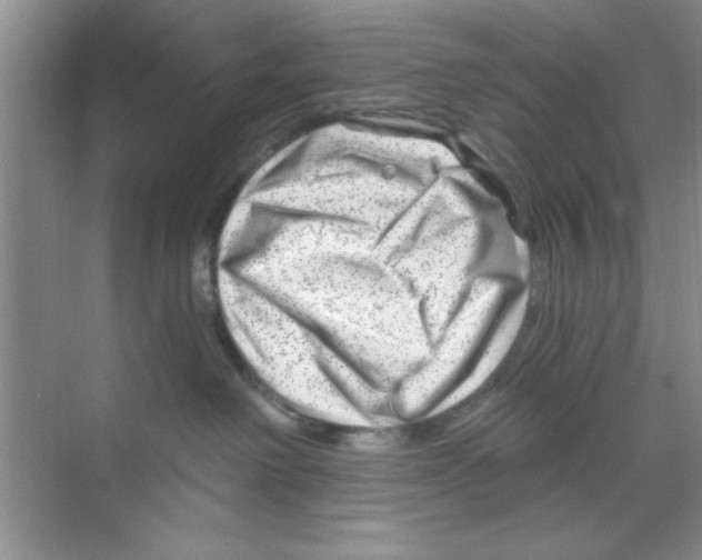 X0000068900238200606021953