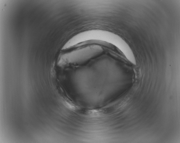 X0000068900239200606021953