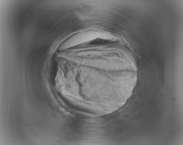 X0000068900241200606021952