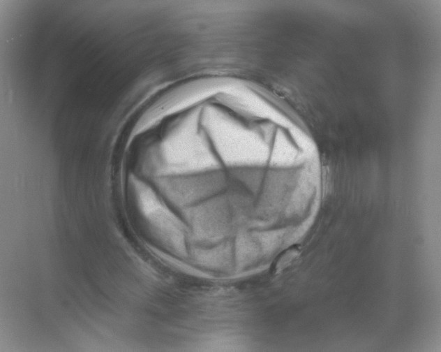 X0000068900243200606021952