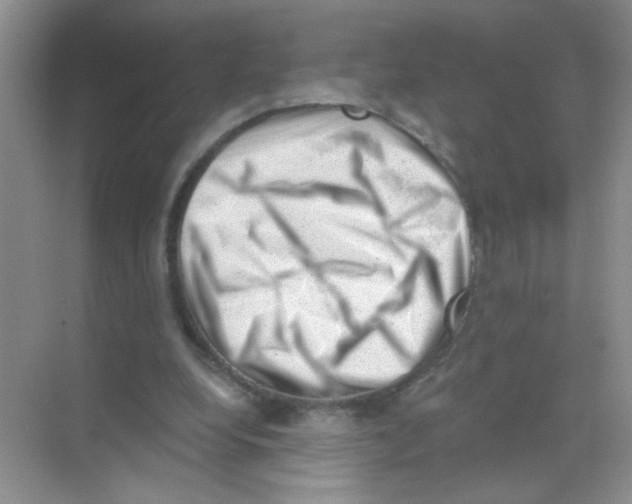 X0000068900248200606021952