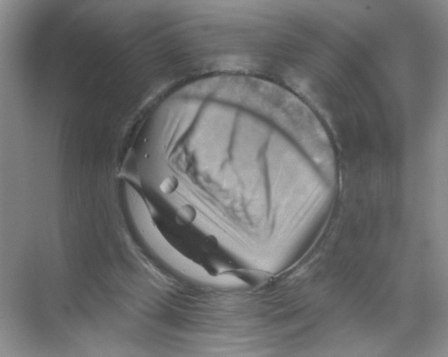 X0000068900249200606021953