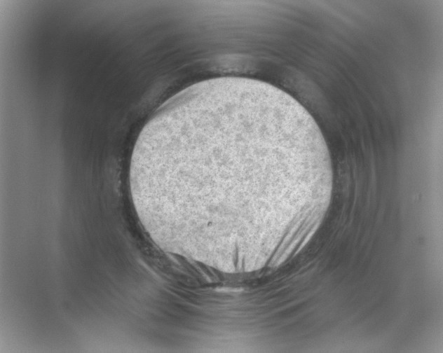 X0000068900255200606021953