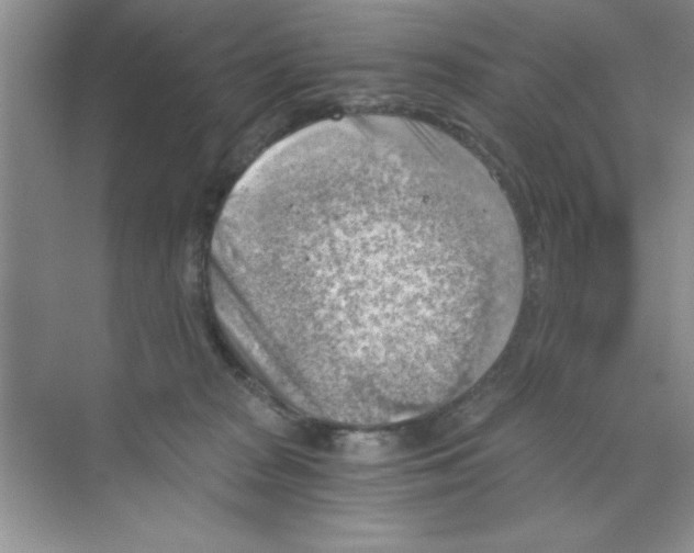 X0000068900277200606021953