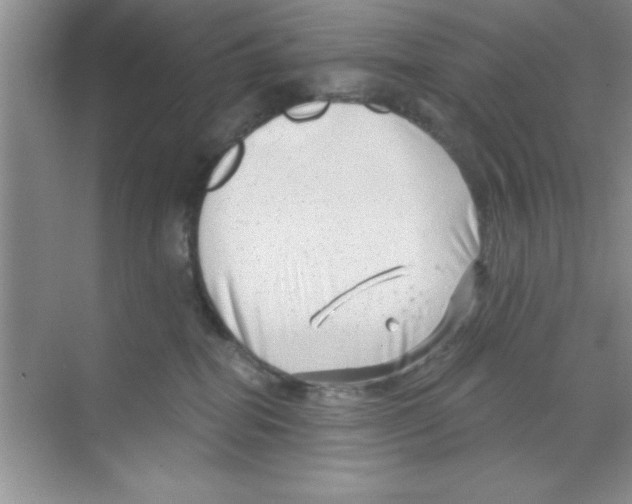 X0000068900282200606021953