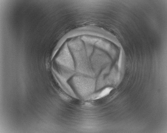 X0000068900285200606021953