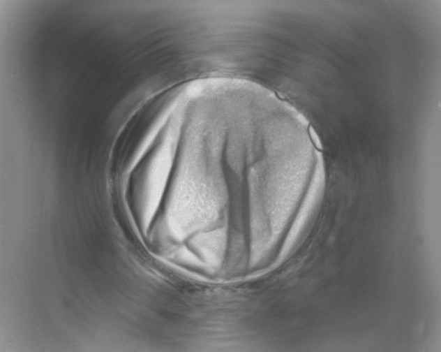 X0000068900290200606021952