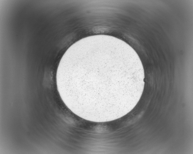 X0000068900308200606021952