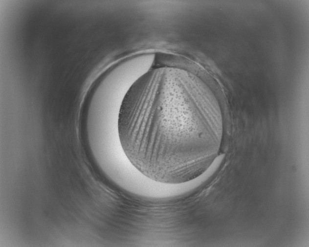 X0000068900344200606021951