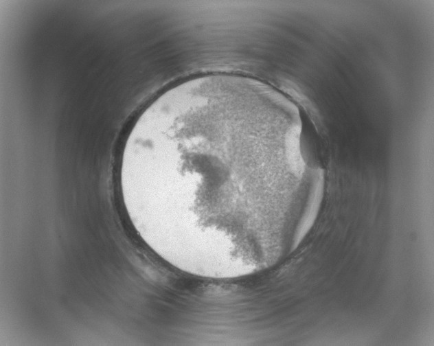 X0000068900346200606021951