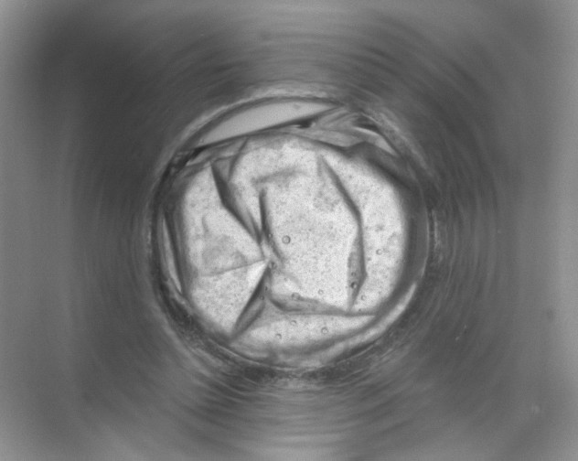 X0000068900348200606021951