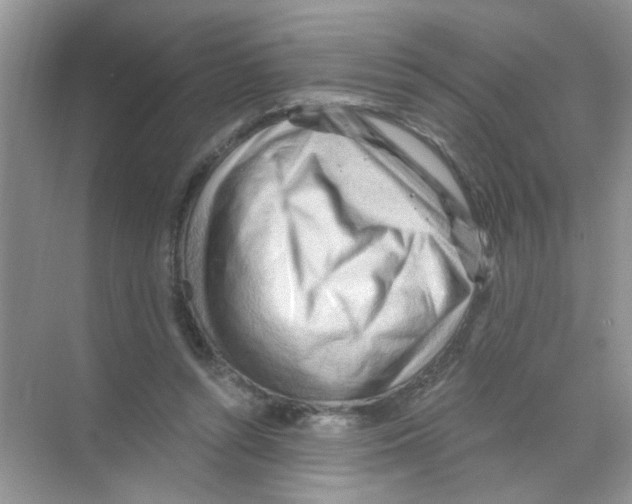 X0000068900352200606021951