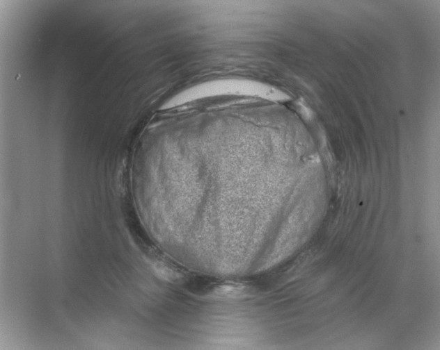 X0000068900364200606021951