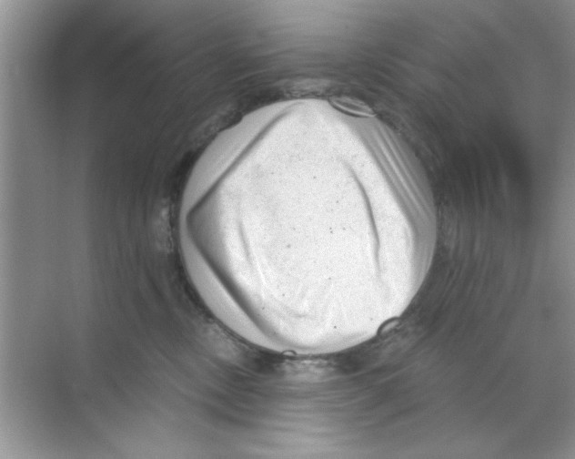 X0000068900378200606021951