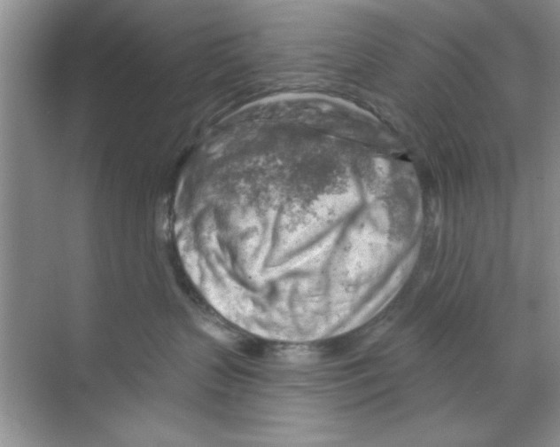 X0000068900383200606021952