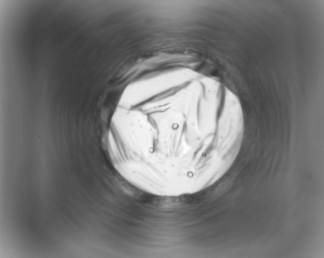 X0000068900384200606021952