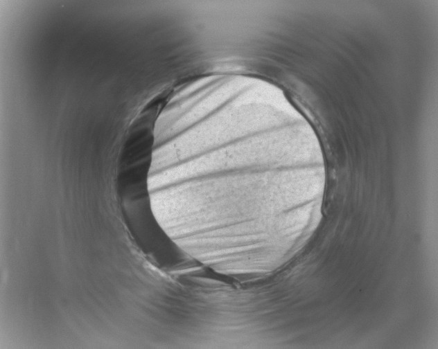 X0000068900385200606021951
