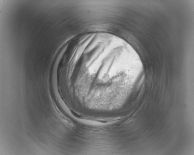 X0000068900386200606021951