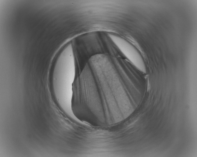 X0000068900387200606021951