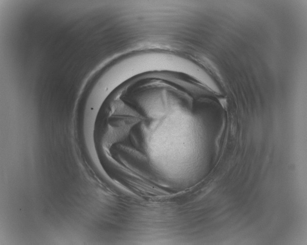 X0000068900388200606021951