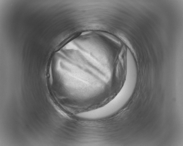 X0000068900389200606021951