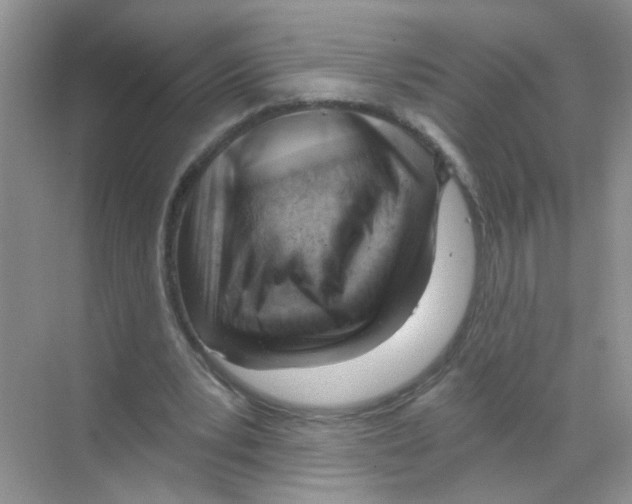 X0000068900391200606021951